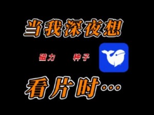 夜里适合男生用的 APP：看片神器，让你欲罢不能