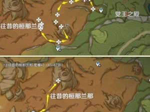 《原神新探秘：沙漠地图星蕈的神秘踪迹》