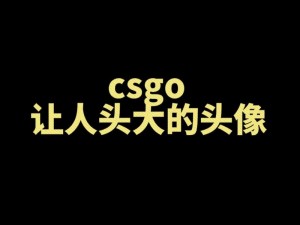 关于CSGO头像如何轻松更改,方法详解