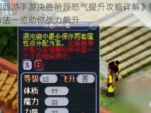 《梦幻西游手游决胜阶段怒气提升攻略详解》愤怒值获取方法一览助你战力飙升