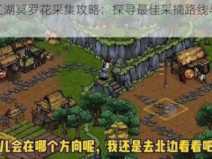 烟雨江湖冥罗花采集攻略：探寻最佳采摘路线与技巧解析