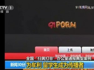 91 视频极速版下载——畅享海量高清视频，流畅播放无广告