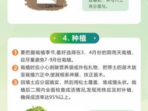 老农种树新手攻略大全：种树入门技巧与实战指南