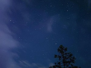 天美麻花星空免费观看乡村_如何免费观看天美麻花星空下的乡村美景？