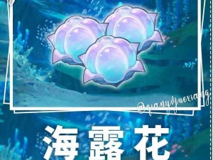 原神海露花：神秘植物作用大揭秘