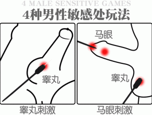 刑讯室睾丸——能够让你享受极致快感的情趣用品