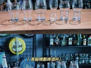 关于文库零境交错啤酒杯属性详解：如何选择合适的啤酒杯？