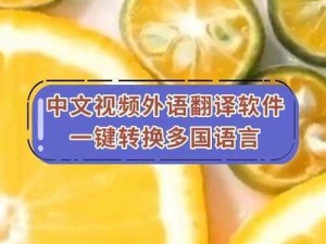 中文字幕第一页，多语言字幕翻译神器