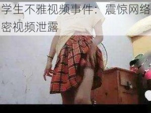 中学生不雅视频事件：震惊网络的私密视频泄露