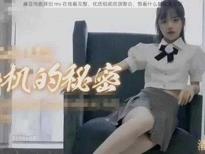 麻豆传剧原创 mv 在线看完整，优质视频资源聚合，想看什么都能满足你