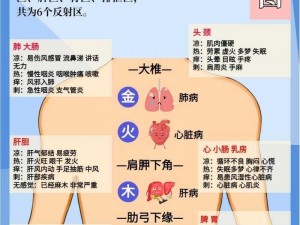 国内学生一区二区三区在线，涵盖多种类型资源，满足不同需求