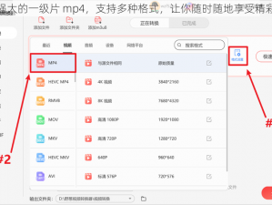 功能强大的一级片 mp4，支持多种格式，让你随时随地享受精彩视频