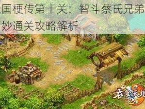 三国梗传第十关：智斗蔡氏兄弟的巧妙通关攻略解析