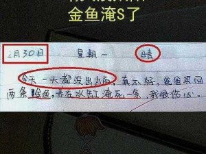 热闹小镇探索之旅：沙雕日记的精彩攻略