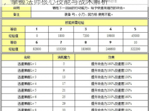 魔力宝贝手游法师攻略大全：新手扫盲指南，掌握法师核心技能与战术解析