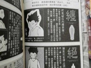 全职猎人念能力深度解析与汇总：掌握漫画世界中的特殊能力解析