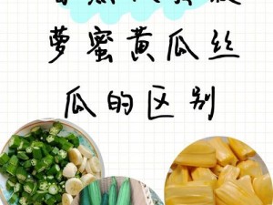 全方位解析香蕉菠萝水蜜桃黄瓜丝瓜秋葵的口感、营养价值与食用方法