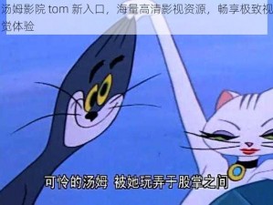 汤姆影院 tom 新入口，海量高清影视资源，畅享极致视觉体验