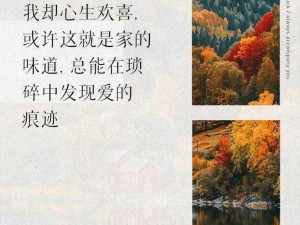 家庭大杂乱经典小说说大全：家庭伦理情感纠葛的长篇巨著