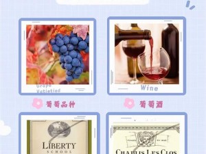 winecourse 观看视频，专业葡萄酒知识学习平台