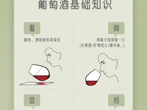 winecourse 观看视频，轻松学葡萄酒知识