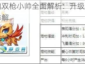 天天酷跑双枪小帅全面解析：升级价值及属性图鉴详解