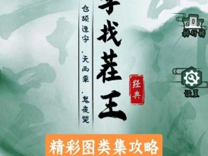 汉字找茬王红蓝对决攻略指南：战略解析与游戏技巧全面剖析