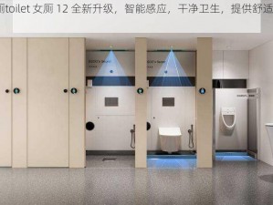 china公厕toilet 女厕 12 全新升级，智能感应，干净卫生，提供舒适的使用体验