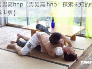 男男高hnp【男男高 hnp：探索未知的情感世界】