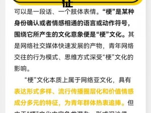 我在振奋的潮流中：揭秘'你在振什么'的深层含义与梗文化