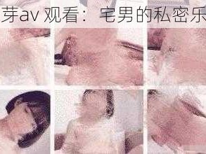 蜜芽av 观看：宅男的私密乐园