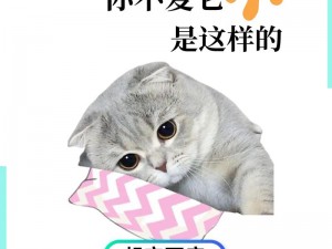 谁可以给我新版猫咪的地址-谁可以告诉我新版猫咪的地址？