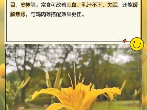 香蕉和忘忧草：改善焦虑的天然选择