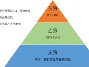 全新体验，精品人妻无码一区二区三区狼群，满足你的所有想象