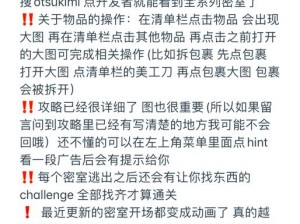 全面指南：谜题大合集安装步骤与配置说明详解