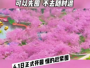 小森生活满月庆典隆重开启：全新家园风之岛对外开放，樱花季限定服饰亮相活动盛大举行