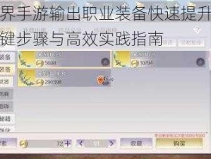 完美世界手游输出职业装备快速提升打造攻略：关键步骤与高效实践指南