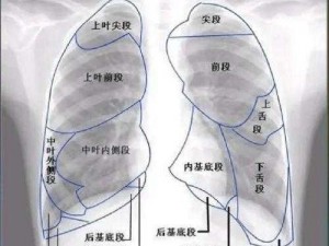 胸片全体曝光，带你探索肺部健康