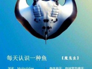 魔鱼揭秘：探寻神秘海洋生物之奇迹与真相的奇幻之旅