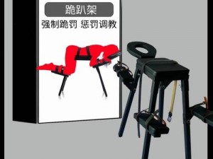 情趣用品 SP 撅起屁股闺房调教玩具