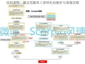 哈利波特：魔法觉醒单人禁林机制解析与掌握攻略