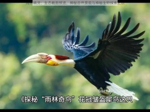 雨林精灵：生态截图预览，神秘自然景观与神秘生物探索之旅