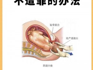 生产不遮阴生产过程;生产不遮阴，过程全公开