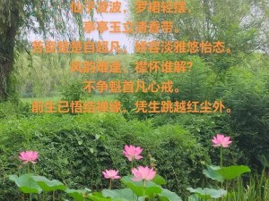 半脱莲房露压欹，鲜嫩莲蓬正当季