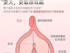 女性自慰模拟器下载，带来前所未有的私密体验