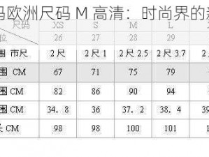 欧洲码欧洲尺码 M 高清：时尚界的新标准？