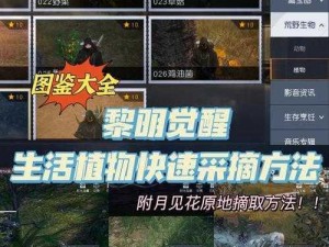 黎明觉醒材料分布详解：全方位快速采集各级材料地图指南