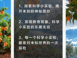 受测试小玩具 1-12：探索未知，满足好奇心