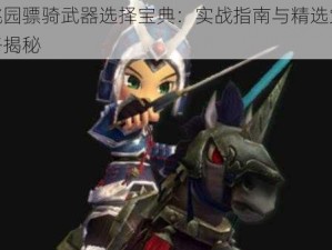 桃园骠骑武器选择宝典：实战指南与精选策略揭秘