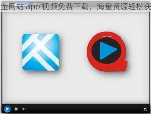 黄金网站 app 视频免费下载，海量资源轻松获取